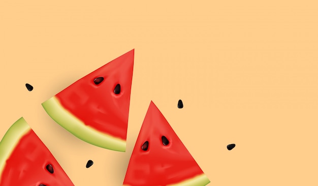 Realistic Fresh Melon Tranches et graines.