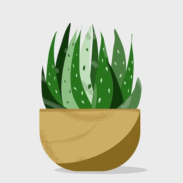 Récipients En Céramique Et Vase Avec Illustration Vectorielle De Cactus Aloe Décoration Intérieure Isolé