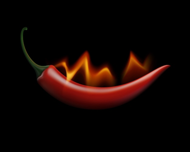 Red Hot Chili Pepper Sur Le Feu Et La Flamme Sur Fond Blanc