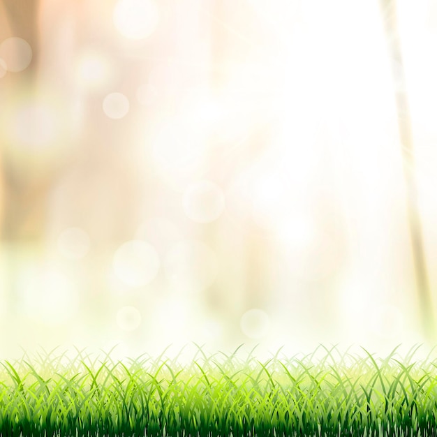 Regardez De Près Le Fond De L'herbe Naturelle