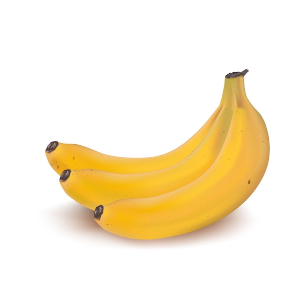 Régime de banane réaliste isolé sur blanc