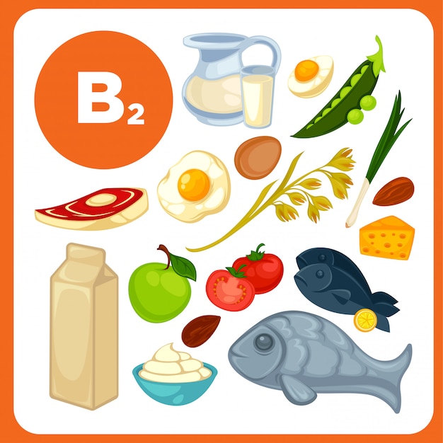 Réglez Les Aliments Avec De La Vitamine B2.