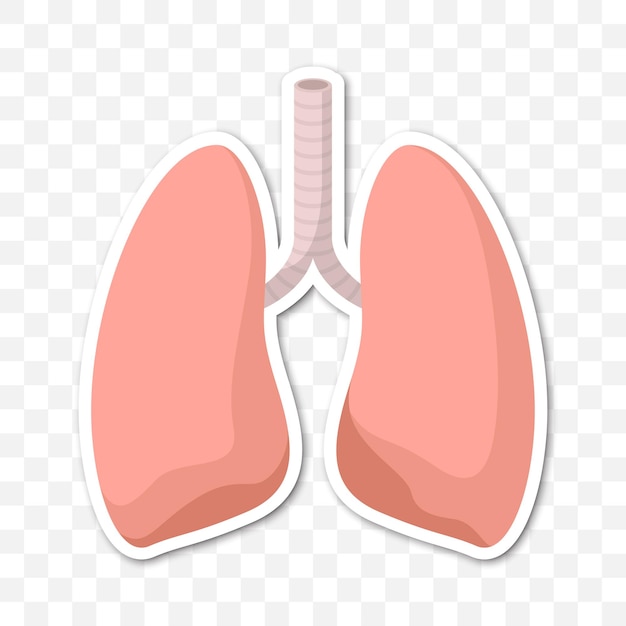 Remarquez l'autocollant avec le vecteur Poumons