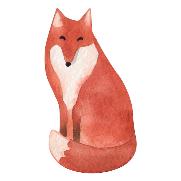 Renard Assis Illustration Aquarelle