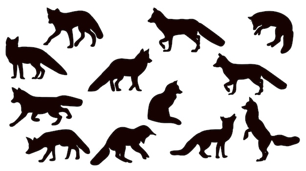 renard dans différentes poses collection set silhouette sur fond blanc vecteur