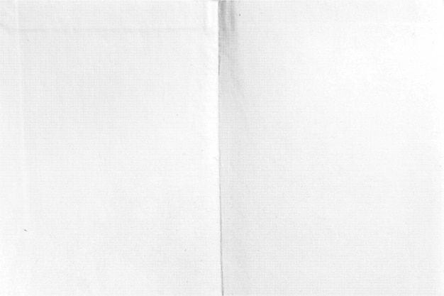 représentation réaliste d'un papier vieilli avec une surface froissée avec un grain distinct et un motif à demi-ton révélant divers plis et signes d'usure au fil du temps