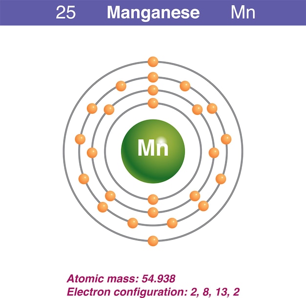 Vecteur représentation schématique de l'illustration de l'élément manganèse