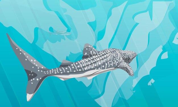 Vecteur le requin baleine rhincodon nage dans l'eau de mer bleue poisson géant de l'océan mondial