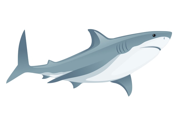 Requin Avec Bouche Fermée Géant Apex Prédateur Dessin Animé Animal Design Plat Illustration Vectorielle