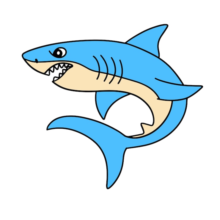 Vecteur requin dans le style de doodle contour de requin effrayant isolé sur fond blanc art vectoriel dessiné à la main