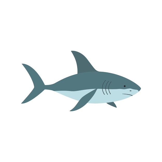 Requin d'illustration vectorielle