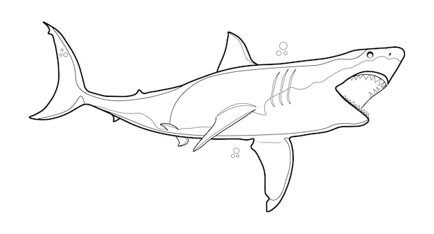 Vecteur requin lineart