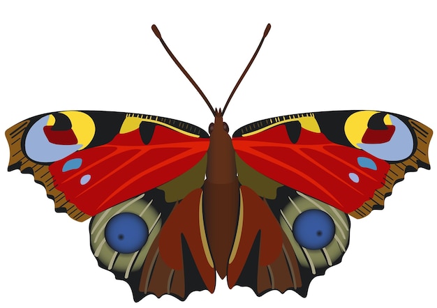 Résumé Butterfly