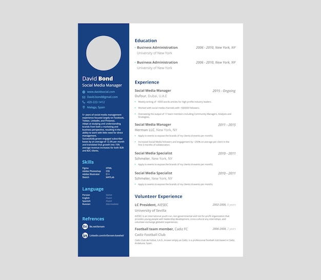 Résumé d'un directeur professionnel des médias sociaux