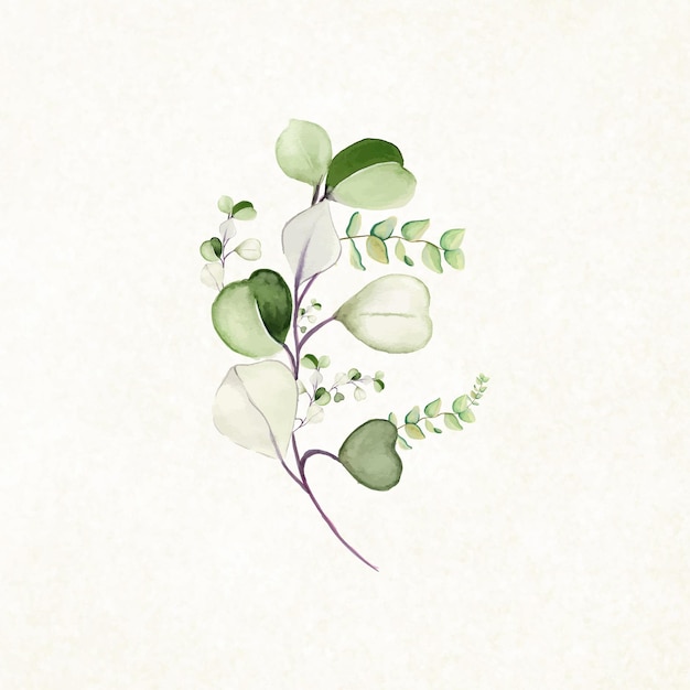 Résumé Feuilles Bouquet Vert Aquarelle Fond Illustration Haute Résolution Photo gratuite
