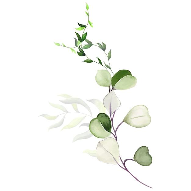 Résumé Feuilles Bouquet Vert Blanc Aquarelle Fond Illustration Haute Résolution Photo gratuite