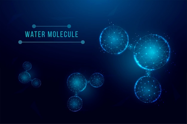 Résumé Historique Des Molécules D'eau. Style Filaire Low Poly.