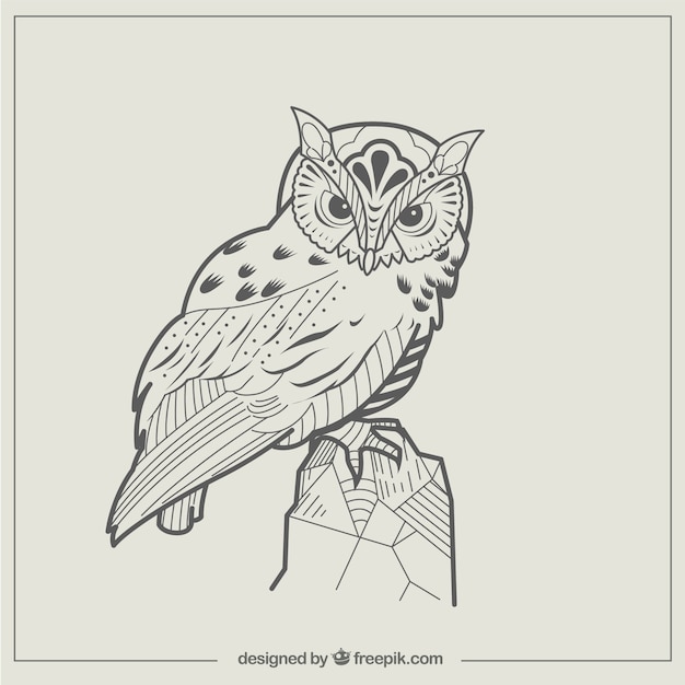 Résumé Illustration De Hibou