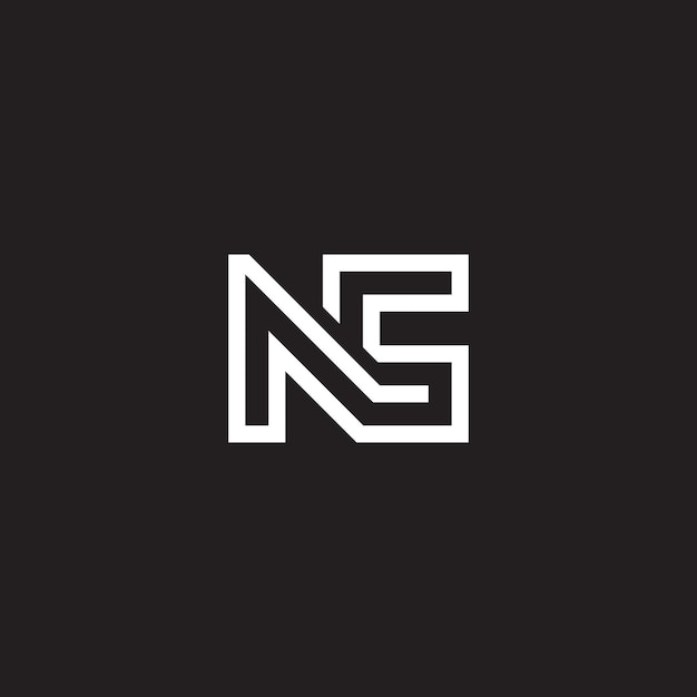 Vecteur résumé sn ns sn lettres logo monogramme icône