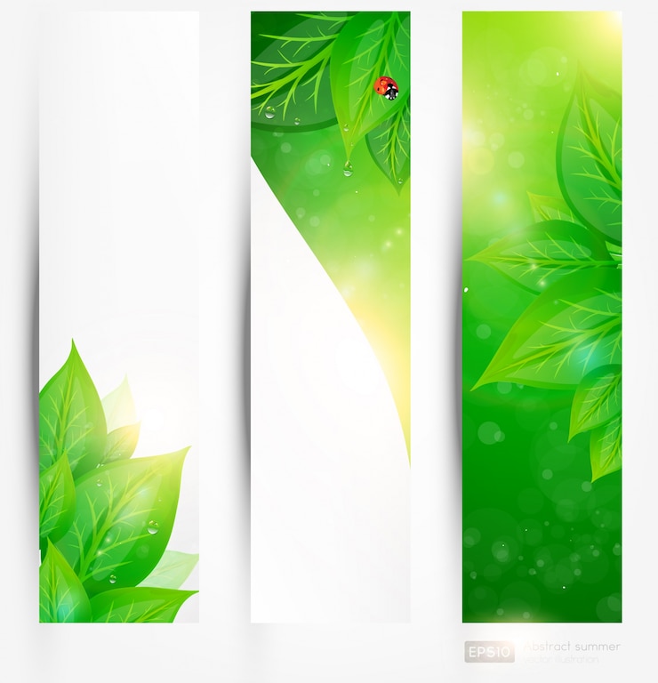 Vecteur résumé transparent banner background ecology