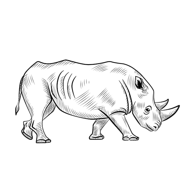Rhinocéros isolé sur fond blanc. Dessinez un animal graphique avec une savane en corne dans un style de gravure.
