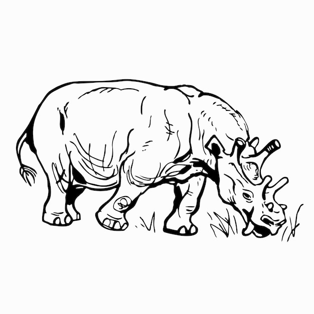Rhinocéros Laineux