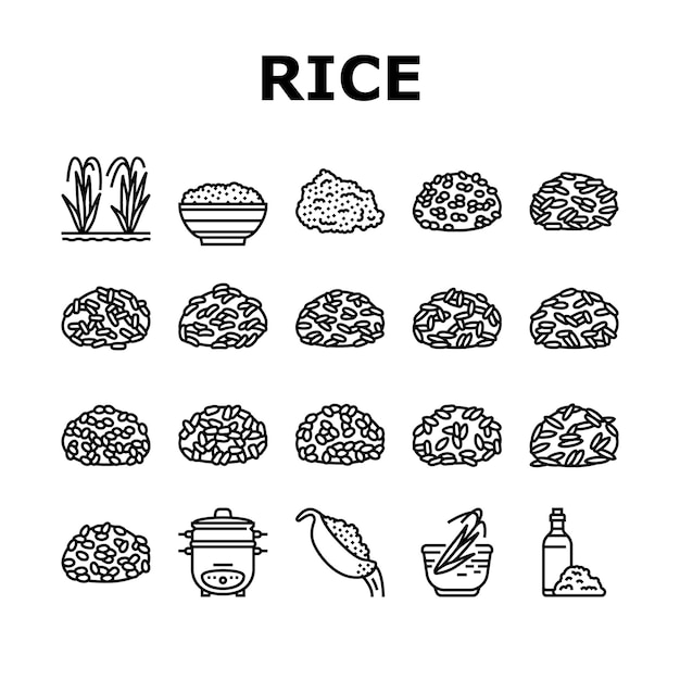 Vecteur riz pour la préparation d'icônes de nourriture délicieuse set vector