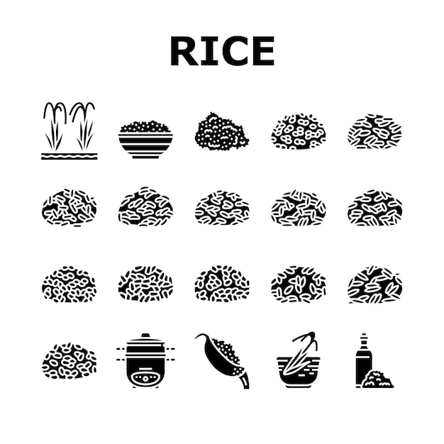 Vecteur riz pour la préparation d'icônes de nourriture délicieuse set vector