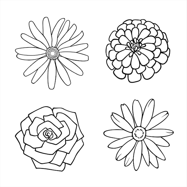 Rose dahlia heliopsis et marguerite en dessin au trait ensemble dessiné à la main de têtes de fleurs isolées