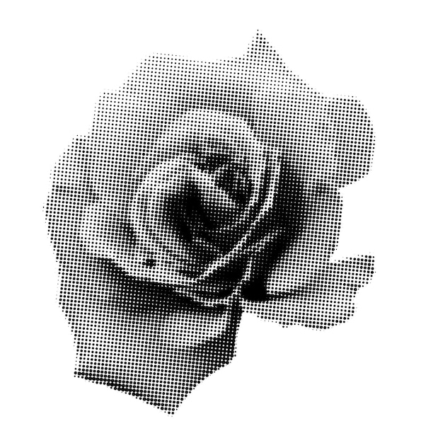 Rose demi-ton collage élément floral mixte design vintage punk pointillé fleur rétro moderne cutuot forme vecteur illustration isolé sur fond transparent