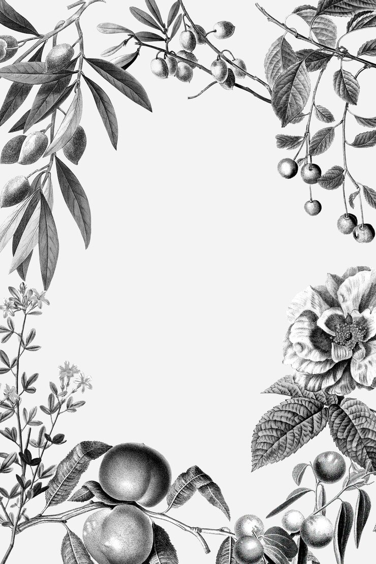 Vecteur rose frame vintage floral vector illustration et fruits sur fond blanc