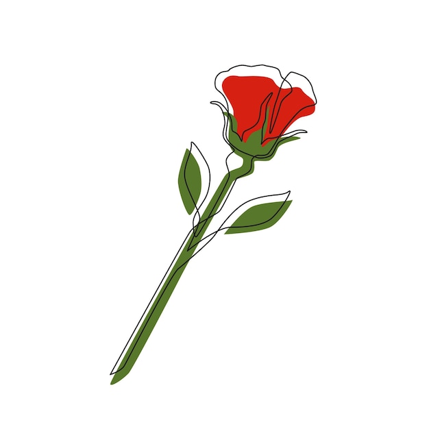 Rose linéaire avec des taches de couleur rouge vert sur fond blanc