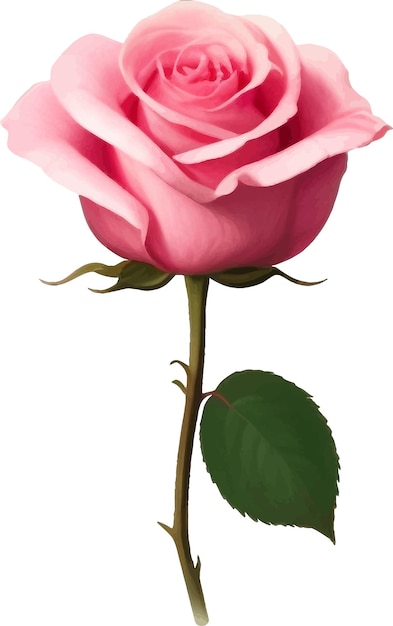 Vecteur rose rose avec feuille détaillée belle illustration vectorielle dessinés à la main