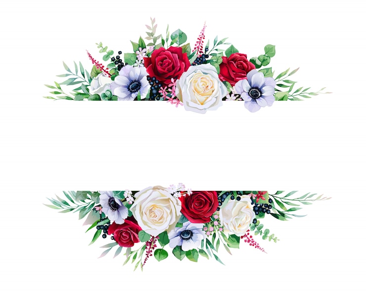 Vecteur rose rouge et blanche, bordure de cadre sur fond blanc.