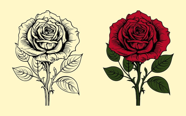 Rose Rouge Avec Illustration Vectorielle De Feuille Verte