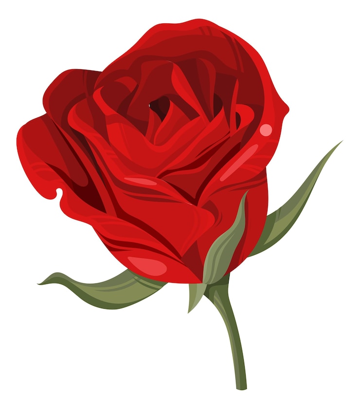 Vecteur rose rouge sur tige élément de fleur bordeaux de luxe