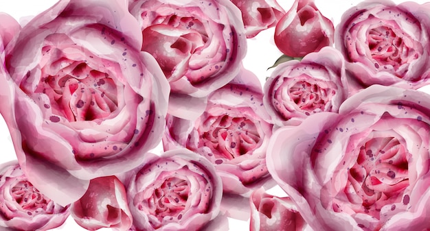 Roses colorées à l&#39;aquarelle