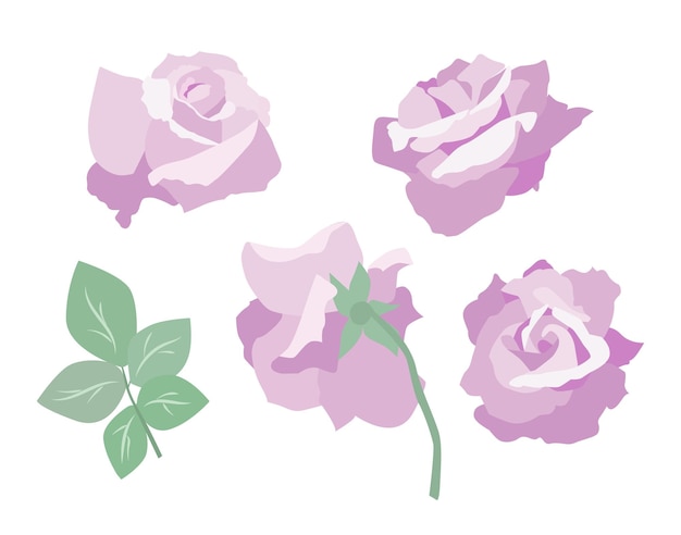 Roses Vector