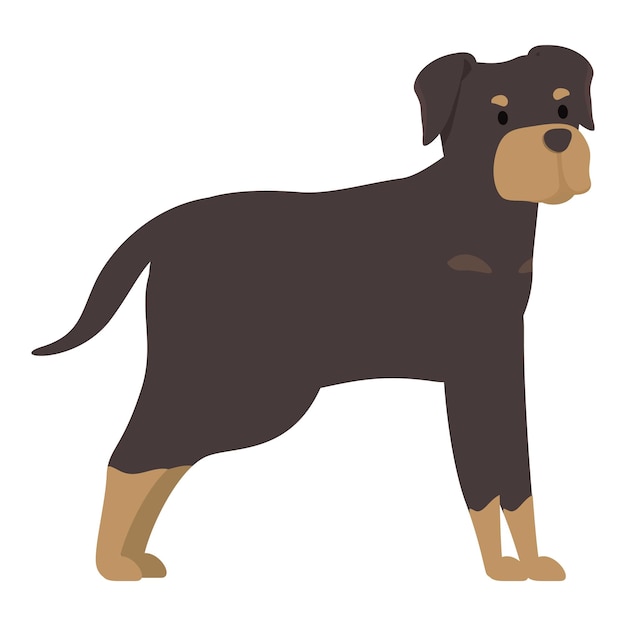 Rottweiler, chien de garde debout à l'air fort et musclé
