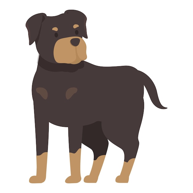 Rottweiler debout chien de garde à l'affût alerte