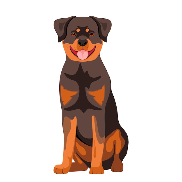 Rottweiler Sur Fond Blanc. Chien. Conception De Dessin Animé.