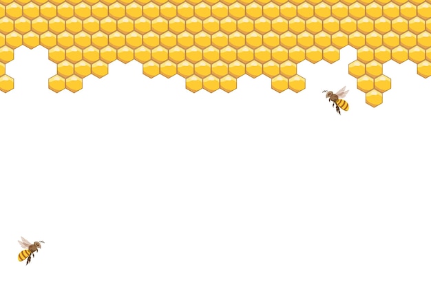 Vecteur ruche d'abeilles abstraite rameaux et abeilles sur un fond blanc vector d'illustration