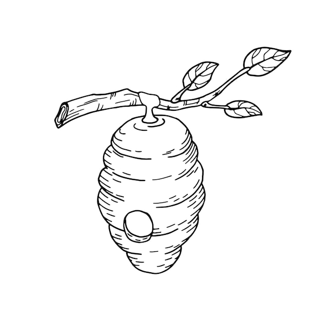 Vecteur ruche sur une branche illustration dessinée à la main