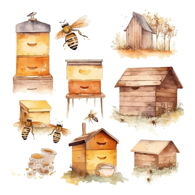 Ruches aquarelles et illustration d'abeille Apiculture éléments clipart dessinés à la main