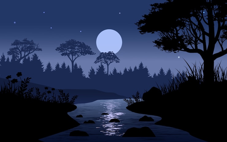 Vecteur ruisseau, dans, forêt, nuit, illustration, à, pleine lune