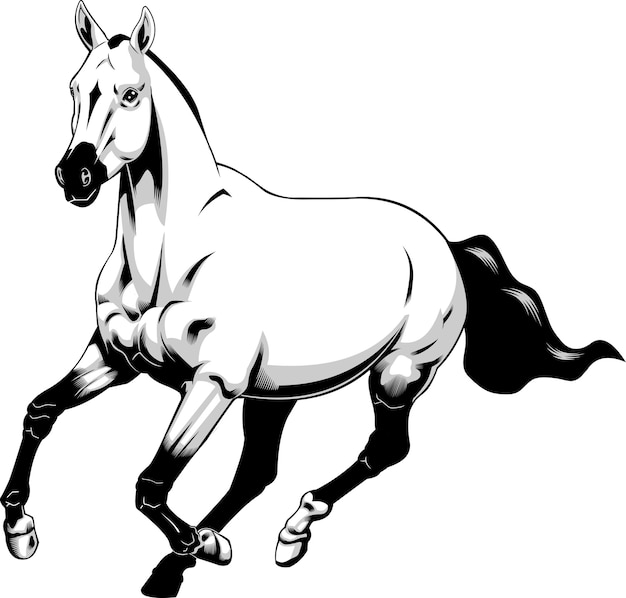 Vecteur running horse graphic design vector illustration dessinée à la main isolée sur fond transparent