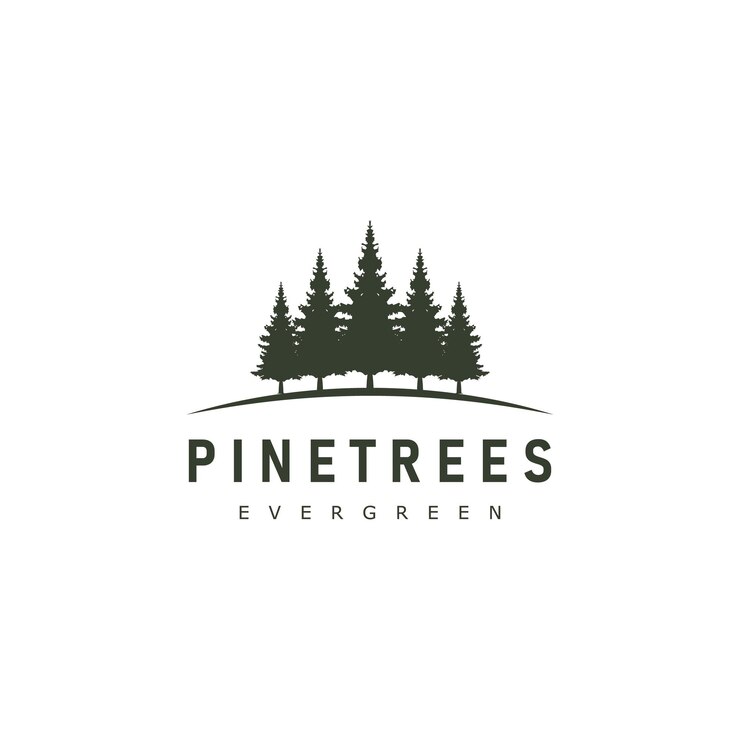 Rustique Rétro Vintage pin épinette à feuilles persistantes conifères cèdre conifères cyprès mélèze sapin pruche pinus logo design