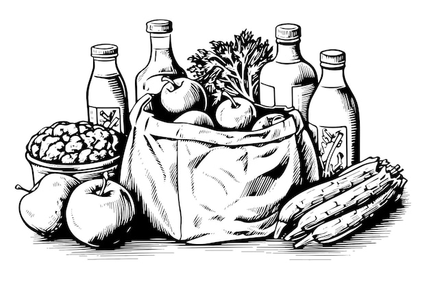 Vecteur sac d'épicerie plein de fruits et de boissons gravure croquis illustration vectorielle dessinée à la main