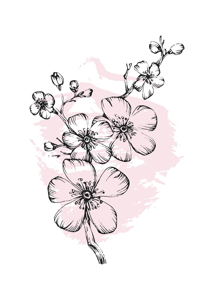 Vecteur sakura abstract illustrations peintes à la main pour la décoration murale carte postale bannière de médias sociaux