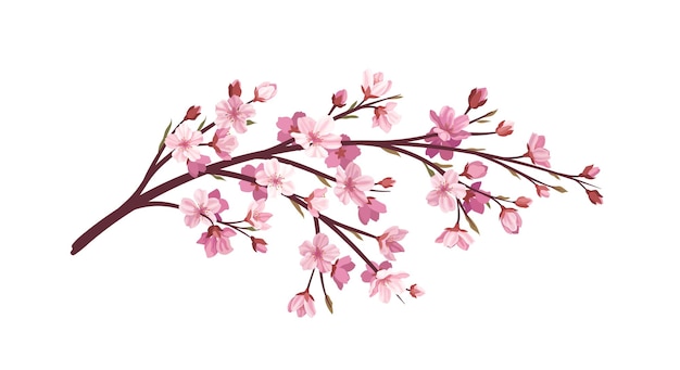 Vecteur sakura concept de branche rose partie de l'arbre et de la plante jardin japonais et asiatique flore et nature sauvage